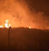 Sülüklü Göl'de kamışlar alev aldı