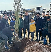 Sur olaylarında şehit düşen kolluk kuvvetleri için Diyarbakır'da fidan dikildi