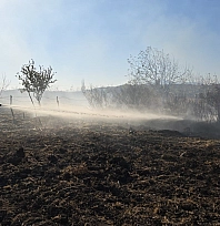 Tarlada çıkan yangın söndürüldü