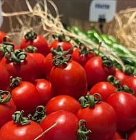 Tarladan markete vurgun operasyonu: 41 dağıtıcı firma yöneticisine gözaltı!