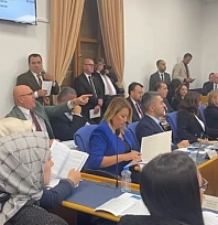 TBMM'de elektrik kesintisini tartıştılar