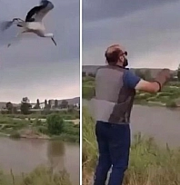 Tedavisi tamamlanan leylek doğaya salındı