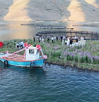 Tescilli doğa harikasında ilk nikah kıyıldı