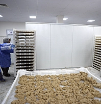 Tescilli Malatya tarhanası artık dünya sofralarında