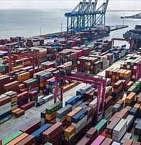TİM Raporu Açıklandı: 6 Aylık Kayısı Rakamları Beklentileri Aştı mı?