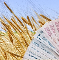 TMO'dan üreticilere 120 milyar liralık ödeme