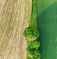 TOKİ Malatya'da açık artırmayla arsa satacak