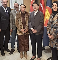 Türkiye-Singapur arasında stratejik sağlık teması