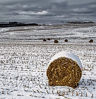 Üreticilere uyarı! Geç olmadan yaptırın!