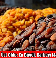 Üretimi alt üst oldu: en büyük darbeyi Malatya yedi!