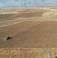 Uygulama tarlalarında hububat ekimi