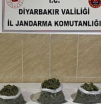 Uyuşturucu operasyonları: 12 şüpheli hakkında işlem yapıldı