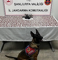 Uyuşturucu operasyonu: 2 gözaltı