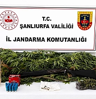 Uyuşturucu operasyonunda 1 şüpheli yakalandı