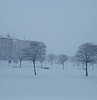 Van kar yağışı: 569 yol kapandı, uçak seferleri iptal edildi