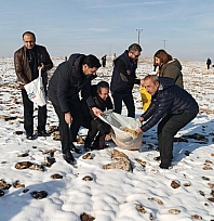 Yaban hayvanları için doğaya yem bırakıldı