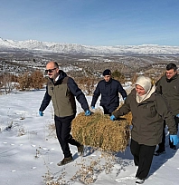Yaban hayvanları için doğaya yem bırakıldı