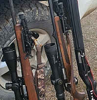 Yaban keçisi vurmanın cezası ağır oldu