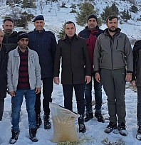 Yabani hayvanlar için doğaya yem bırakıldı