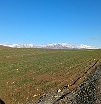 Yağışlar çiftçinin umudunu artırdı