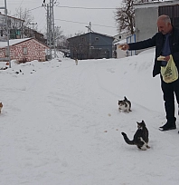 Yaklaşık 2 bin nüfuslu köyde kışın sadece bir aile yaşıyor