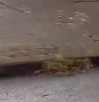 Yanan araç, alev topuna döndü