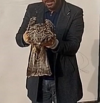 Yaralı kartal koruma altına alındı