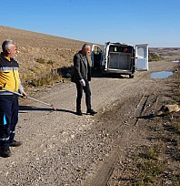Yaralı tilki tedavisinin ardından doğaya geri bırakıldı