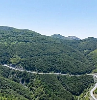 Yeşil vatan için 6 ayda 24,3 milyar TL harcandı!