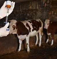 Yetiştiricilere müjde: Artık ücret alınmayacak!