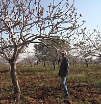 Yoğun kar yağışları çiftçinin yüzünü güldürdü