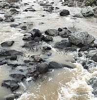Yoğun yağışlar çiftçinin yüzünü güldürdü