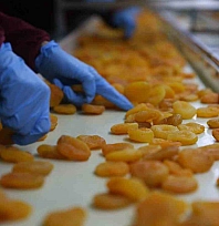 AB tescilli Malatya kayısısı raflarındaki yerini korumaya çalışıyor