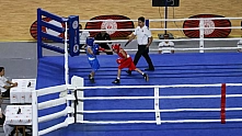 781 genç sporcu şampiyonluk için ringde
