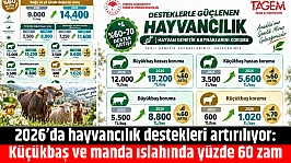 2026'da hayvancılık destekleri artırılıyor: Küçükbaş ve manda ıslahında yüzde 60 zam