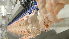 Bakanlık duyurdu: Pazartesiden sonra satılmayacak!