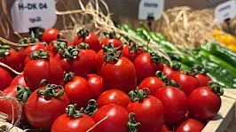 Tarladan markete vurgun operasyonu: 41 dağıtıcı firma yöneticisine gözaltı!