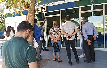 Aksa kapısında pestil olan Malatyalı isyan noktasında! Kayısı bile güneşte böyle kurumadı