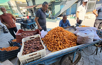 Aracılardan Malatyalı üreticiye darbe! Kayısıyı 200 liraya alıp 1000 liraya satıyorlar!