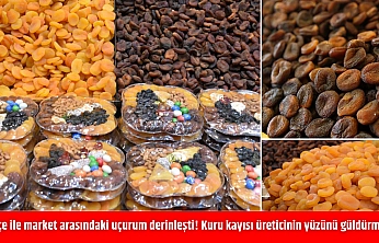 Bahçe ile market arasındaki uçurum derinleşti! Kuru kayısı üreticinin yüzünü güldürmedi!