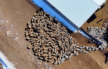 Bakanlık Tescilledi: Malatyalı üreticilere 4,6 milyonluk ek kaynak