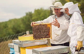 Destek ödemeleri yüzde 51 artırıldı!