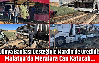 Dünya Bankası Desteğiyle Mardin'de Üretildi! Malatya'da Meralara Can Katacak...