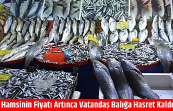 Hamsinin fiyatı artınca vatandaş balığa hasret kaldı