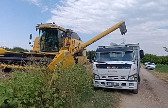 Malatya'da kayısıya rakip çıktı: Dekar başına 300 kilo verim