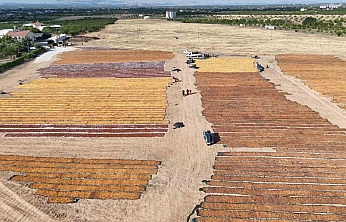 Malatya'da altın sarısı ovalar havandan görüntülendi: Kilometrelerce uzanan sergenler nefes kesti