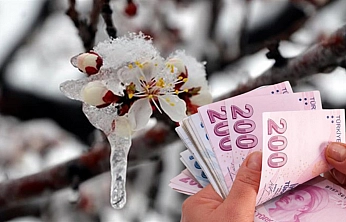 Kayısıya 45 milyon liralık ödeme!
