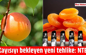 Kayısıyı bekleyen yeni tehlike: NTE!