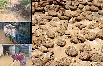 Malatya'da 400 ton kayısı zarar görmüştü: 4 aydır üreticiye destek verilmedi...