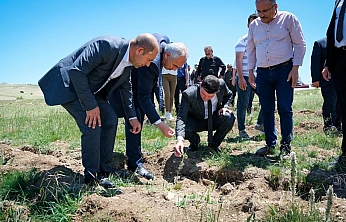 Malatya'da Alternatif Yem Kaynağı Meralara Dikiliyor